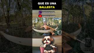 La revolución de la BALLESTA sabiasque perros archery [upl. by Neelhtac]