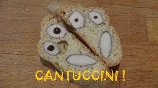 CANTUCCINI [upl. by Einnod]