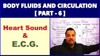 Body Fluids and Circulation for NEET  Part 6  Heart Sound amp ECG [upl. by Hanala]