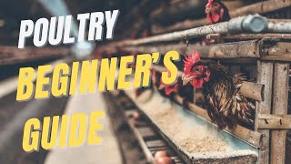 Poultry farming full guide for beginners  The FarmGuide Sn1 E2 [upl. by Ahsilla]