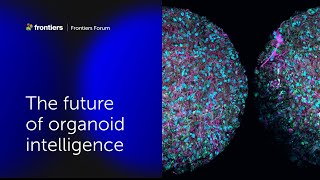 Thomas Hartung and colleagues  The future of organoid intelligence  Frontiers Forum Deep Dive 2023 [upl. by Valene]