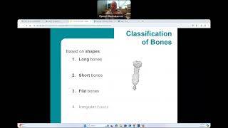 CG  BIO160  Skeletal System [upl. by Hazelton]