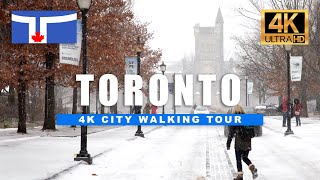 4K Toronto Winter Walk  Snow Walking Tour UofT Bloor Yonge Yorkville 4K HDR 60fps [upl. by Boyden]