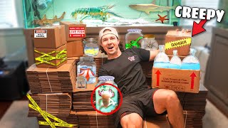 UNBOXING TONS of FISH for ALL My SALTWATER AQUARIUMS whats inside [upl. by Halsey]