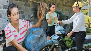 Harvesting ginger to sell at the market  Sai got angry again l Lý Thị Sai [upl. by Bryanty]