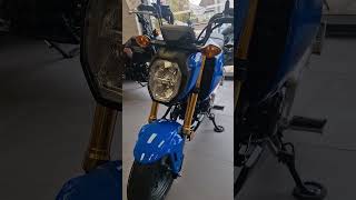 2025 Honda Grom motorcycle twowheels new motorbike honda shortsvideo grom minimoto cool [upl. by Topper784]