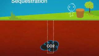 Carbon Capture Sequestration and Reuse Webisode 1 The Basics [upl. by Selena552]