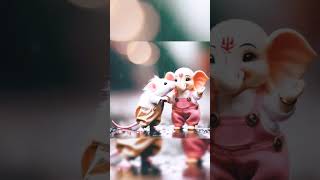 Little Bappa  Trending songs Edar chala mai udar chala [upl. by Yaakov248]