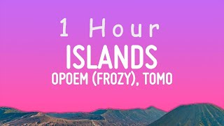 фрози frozy Tomo  Islands kompa pasión Lyrics  1 hour [upl. by Nylcoj]