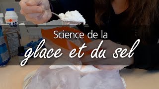 Expérience de la crème glacée en sac [upl. by Enoved]