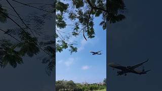 cial flight landing kochiport preweddingshoot golfclub [upl. by Mehalek]