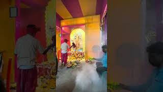 Bauria Jagadhatri Pujo 2024 trending jagadhatripuja hindufestival shorts [upl. by Iadahs10]