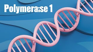 DNA Polymerase The Unsung Hero of Genetics DNApolymerase [upl. by Suoivatram]