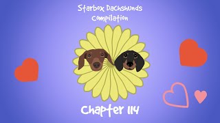 Starbox Dachshunds Compilation Chapter 114 [upl. by Matazzoni699]