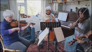 Haydn Op33 No1  rehearsal clip of opening [upl. by Idnem47]