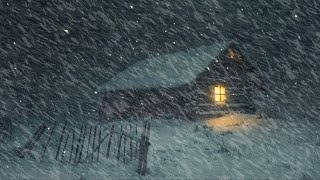 Ideal Snowstorm Sounds For Sleep Reduce Stress  Blizzard at a Frozen Wooden House  Howling Wind [upl. by Leikeze933]