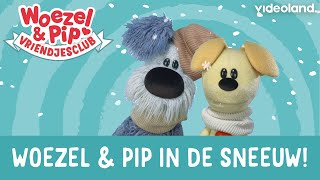 Woezel amp Pip Vriendjesclub  Woezel amp Pip in de sneeuw ❤️❄️ [upl. by Survance]