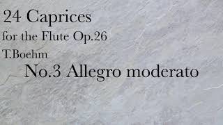 TBöhm24 Caprices For FLUTE No3 Allegro moderato [upl. by Namie]