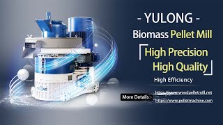 YULONG Biomass Pellet Machine High Precision High Quality [upl. by Nilved]