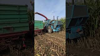 Mengele V 10 amp Fendt Farmer bei Maissilage🌽🔝🏁 [upl. by Eustazio874]