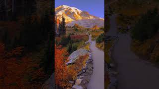 📍Mt Rainier mountain youtubeshorts nature youtuber sunset sunrise se [upl. by Chouest994]