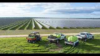 Solar Farm Asset Protection Through Sustainable Weed Management  Wirsol Energy [upl. by Dehsar799]