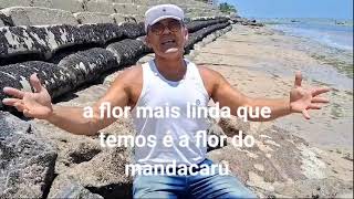 Poesia Filho do Nordestepor Dval Andrade [upl. by Frazer]