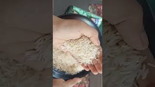 Daawat Biryani Basmati Rice Review  Worlds Longest Grain shorts ytshorts vegfoodz daawat rice [upl. by Britte]