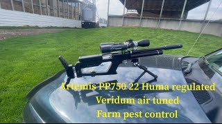 Artemis PP750 22 Huma regulated Veridium air tuned farm pest control [upl. by Marie]