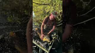 Best of Floppy  carpfishing karpfenangeln angeln fishing karpfen fish angling carp [upl. by Akinuahs]