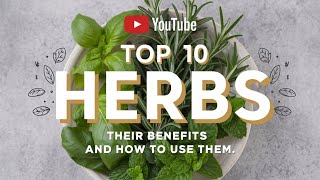 Top 10 Herbs for Ultimate Health Boost [upl. by Dahc]