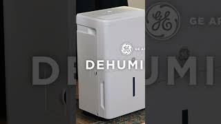 Best Dehumidifiers for 2023 shots [upl. by Audre]