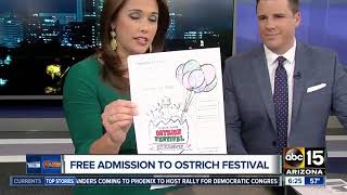 How to get into the Ostrich Festival for free [upl. by Spitzer455]