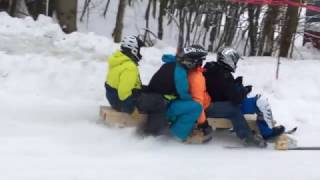 Homebuilt Bobsleigh Fail [upl. by Adnuhsal22]