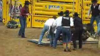 Horses Shocked at 2007 National Finals Rodeo [upl. by Croteau652]