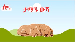 ታማኙ ውሻ ተረት ተረት  in Amharic  Amharic Fairy Tale ከ ቢንያም አይቶ አስናቁ [upl. by Llenna]