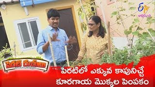 Inti chitkaluSendriya Yeruvula Peratithota  Perati Ruchulu  18th January 2019  Full Episode ETV [upl. by Leuqar]