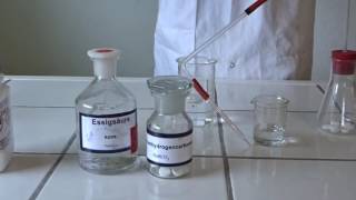 Chemie Experiment 77  Nachweis von Kohlenstoffdioxid [upl. by Ria]