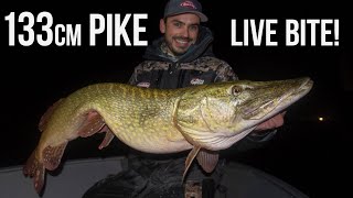 NIEUW PR 133cm MONSTER Snoek LIVE AANBEET OP FILM [upl. by Idorb945]