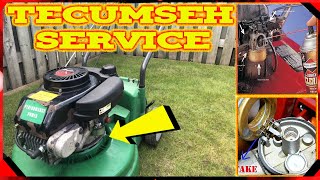 How to Clean Tecumseh Lawn Mower Carburetor  Craftsman Lawn Mower Repair  2021episode 4 [upl. by Ennirac]