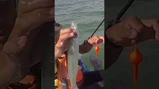 ¿Pican con tirita de carpa Pesca de pejerrey pescaenkayak [upl. by Mariejeanne679]