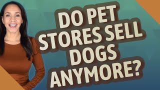 Do pet stores sell dogs anymore [upl. by Ruthi]