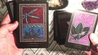 Shamanic Healing Oracle Cards UNBOXING [upl. by Yllatan]