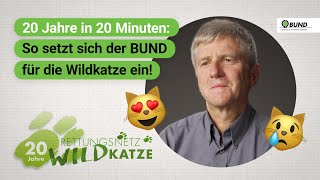 20 Jahre Rettungsnetz Wildkatze  Wir blicken mit euch zurück [upl. by Arand229]