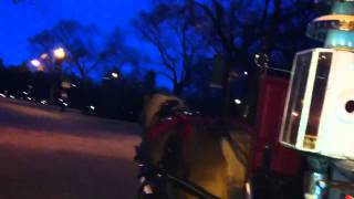 Hansom cab [upl. by Heaps]