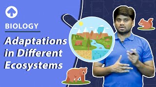 Adaptations in Different Ecosystems  Biology [upl. by Jaquenette]