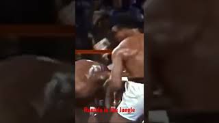 Ali vs Foreman The Rumble in the Jungle highlights muhammadali boxinghighlights [upl. by Sothena412]