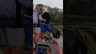 33rd Place Potomac River MLF Regional fishing majorleaguefishing basstournament largemouthbass [upl. by Asilana]