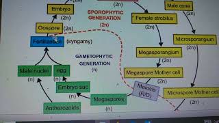 biology උසස්පෙළ guess question 2023 ජනවාරි speed revisionguess [upl. by Netsyrk151]