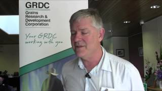 GRDC Northern Grower Updates  Pittsworth [upl. by Liv160]